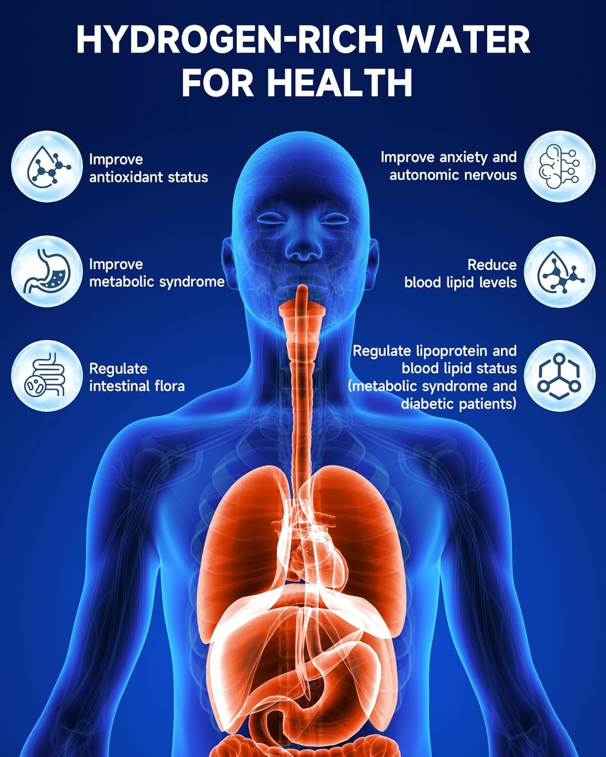 Hydrogen Water Bottle - Portable, Rechargeable, LED Timer, Aluminum and Glass, 5000 PPB Hydrogen in 10 Minutes, for Husband, Father, Friend & Family, for Sports, Home, Office (Black, 340ml)